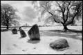 Long Meg and Her Daughters