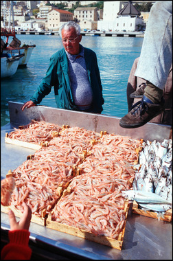Selling Prawns