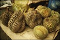 Durians