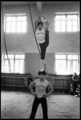 Chinese Acrobats