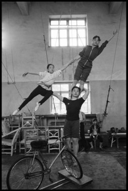 Chinese Acrobats