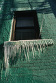 Icicles