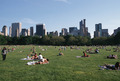 Sheep's Meadow
