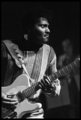 Albert Collins