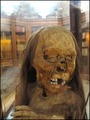 Peruvian Mummy
