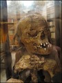 Peruvian Mummy