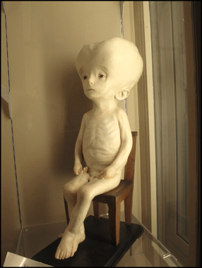 Musei di Palazzo Poggi