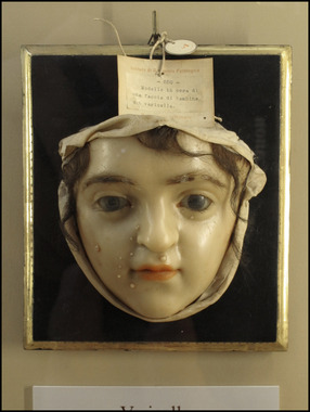 Musei di Palazzo Poggi