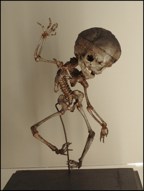 Musei di Palazzo Poggi