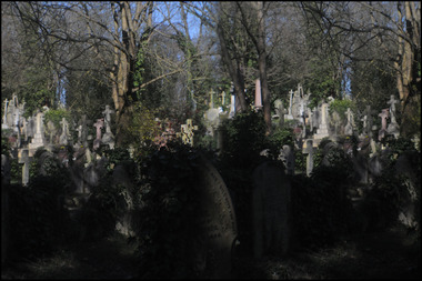 Highgate Cemetery 3D