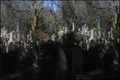 Highgate Cemetery 3D