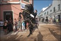 Jaleo Horse Festival
