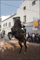 Jaleo Horse Festival