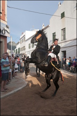 Jaleo Horse Festival