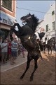 Jaleo Horse Festival