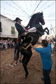 Jaleo Horse Festival