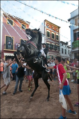 Jaleo Horse Festival