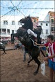 Jaleo Horse Festival