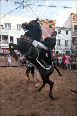 Jaleo Horse Festival