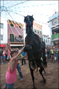 Jaleo Horse Festival