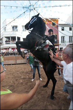 Jaleo Horse Festival