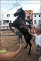 Jaleo Horse Festival