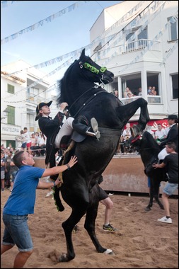 Jaleo Horse Festival