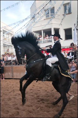 Jaleo Horse Festival