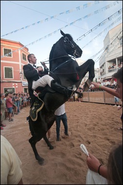 Jaleo Horse Festival