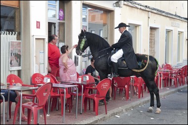 Jaleo Horse Festival