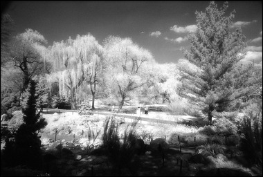 Brooklyn Botanical Gardens