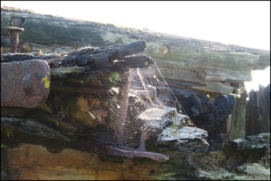 Purton Ships Graveyard