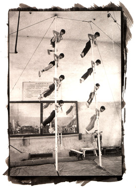 Chinese Acrobats Platinum