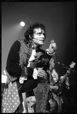 Adam Ant