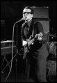 Elvis Costello 