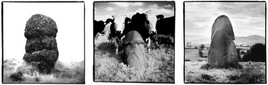 Irish Phallic Stones triptych