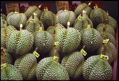 Durians