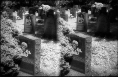 Woodlawn Cemetery Infra Red