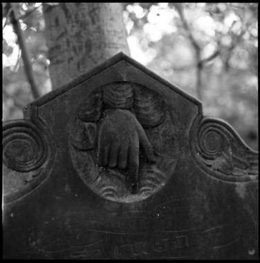 Tower Hamlets Cemetery