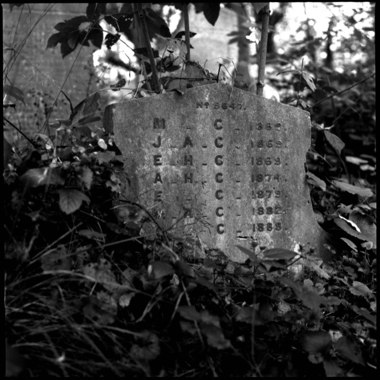 Tower Hamlets Cemetery