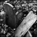 Abney Park Cemetery