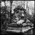 Abney Park Cemetery
