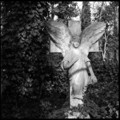 Abney Park Cemetery