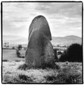 Crobane Phallic Stone
