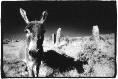 Derrinataggart Circle & Donkey 