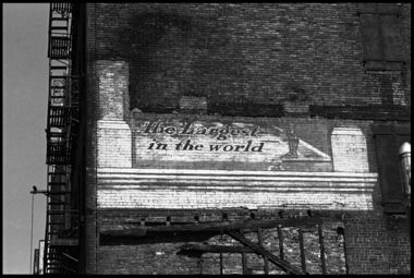 The Largest In The World