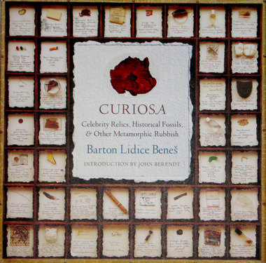 Curiosa by Barton Lidice Benes