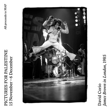 Pictures For Palestine